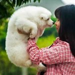 A woman wearing a red and white plaid shirt is holding up a small white fluffy dog to her nose