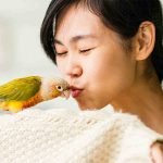 A woman kissing a green-cheeked conure on its head
