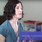 Feeding Your Pet a Non-Traditional Diet