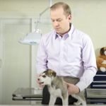 How to Stop a Puppy From Biting