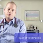 What You Need to Know If You’re Traveling to a Different Country With Your Pet