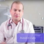 Over-the-Counter Antihistamine Use in Dogs and Cats