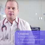 Arthritis in Cats and Dogs and 4 Factors to Prevent Lameness or Stiffness