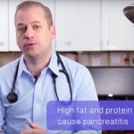 Can I Feed My Dog or Cat Human Food?