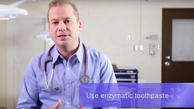 A male veterinarian discusses tips to make brushing a dog and cats teeth easier at home