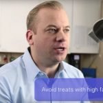 What Are the Best Treats to Feed My Dog or Cat?