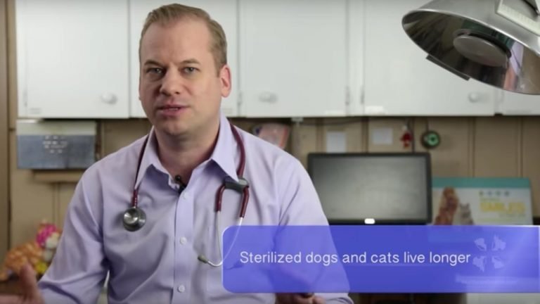 A male veterinarian discusses whether or not to spay or neuter a cat or dog