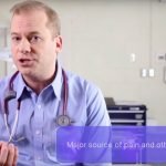 The Importance of Dental Care in Pets and The Process of a Dental Cleaning