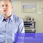 Which Foods Are Toxic to My Dog or Cat?