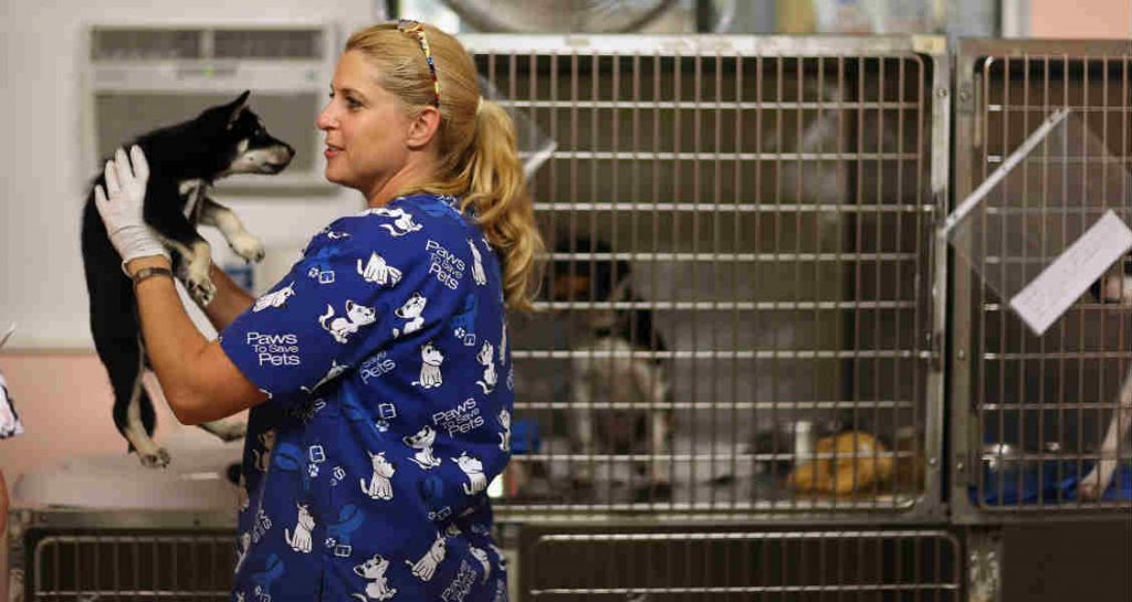 A blonde-haired woman is holding a puppy in front of dogs being held in crates