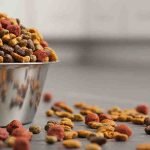 how to measure dog food portions