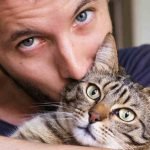 6 Dangers Cats Face Outdoors