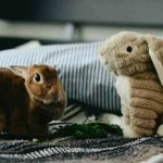 A rabbit is sitting on a bed with some greens beside a stuffed toy rabbit