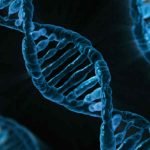 Understanding Protein in Dog Food