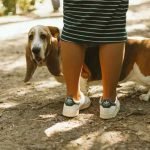 Tips for Single Dog Owners to Make Life Easier