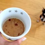 What to Do If Your Cat or Dog Ingests Coffee