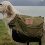 A dog standing outside on the grass near a body of water is wearing an army green storage vest