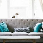6 Tips on How to Stop Cats from Scratching Furniture