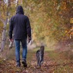5 Benefits of Walking Your Dog