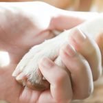 A female is holding a dog's paw with white fur in her hand