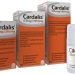 Drug Used to Manage Congestive Heart Failure in Dogs Earns FDA Approval