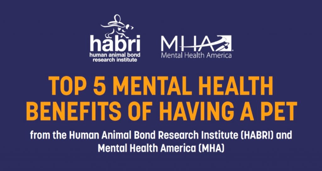 Header for top 5 mental health benefits of having a pet infographic