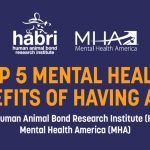 Top 5 Mental Health Benefits of Having a Pet
