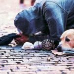 ‘This is the lifeline. This is the friend’: Why pets matter to homeless people