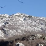 ‘A real miracle’: dog saves injured hiker stranded in Croatian mountains