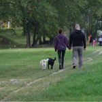 International Survey of Pet Owners & Veterinarians