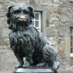 Greyfriars Bobby and the dogs immortalised in statues