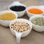 ‘The pulse of it:’ does pulse-inclusive dog food affect heart health?