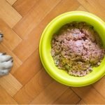 The ‘raw feeding’ trend can cause real harm to your pets – and to you