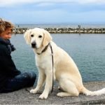 The Health Benefits of Pets