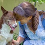 Vet choir to raise money in aid of Ukraine