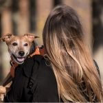 The Surprising Benefits of Emotional Support Animals