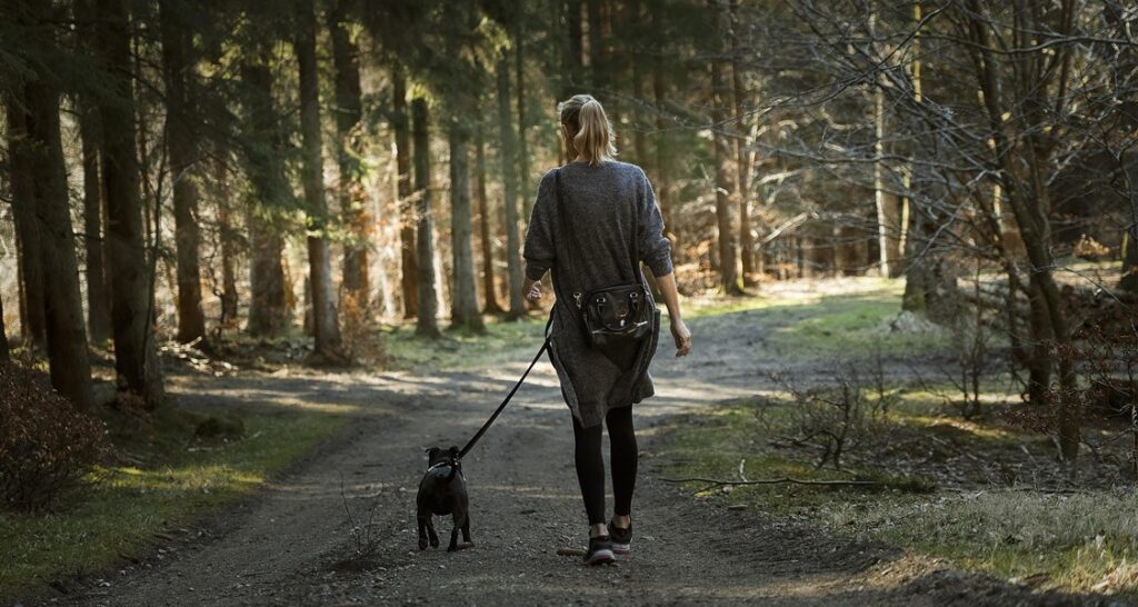 A woman is walking a trail with their dog on a leash