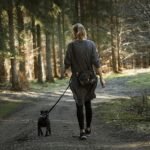 Dog owners reminded to leash dogs on trails