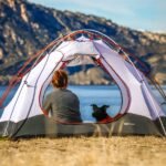 Considerations for Camping With Canines