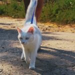 Grappling With Giardia: Tips for Avoiding Infection