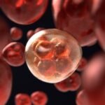 An illustration of a microscopic cancer cell dividing