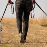 The Dog Lawyer Doesn’t Care That You Hate Him