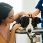 A woman is stroking a dog's head on an examination table with a veterinarian standing behind in the background