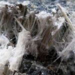 How Does Asbestos Exposure Affect Your Pets?