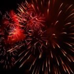 New fireworks legislation marks significant milestone in making Scotland a safer place for animals
