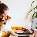 4 Essential Ways To Take Care of Small Dogs