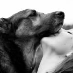 These scientists are working to extend the life span of pet dogs—and their owners