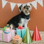 Biotech startup predicts age of dogs in hunt for clues about human aging