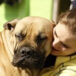 How do you get a homeless young person into a clinic? Treat their pet