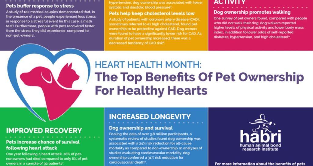 HABRI infographic on heart health benefits of pet ownership